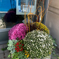 Planter decoration-Fall