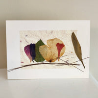 VR-One Dozen Red Roses