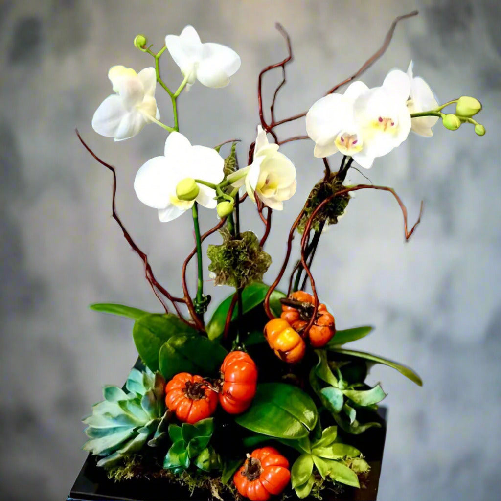 Elegant Autumn Orchid Planter