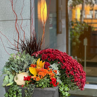 Planter decoration-Fall