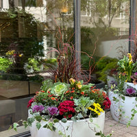 Planter decoration-Fall