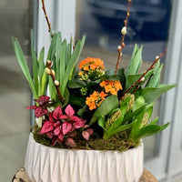 Spring is in the Air