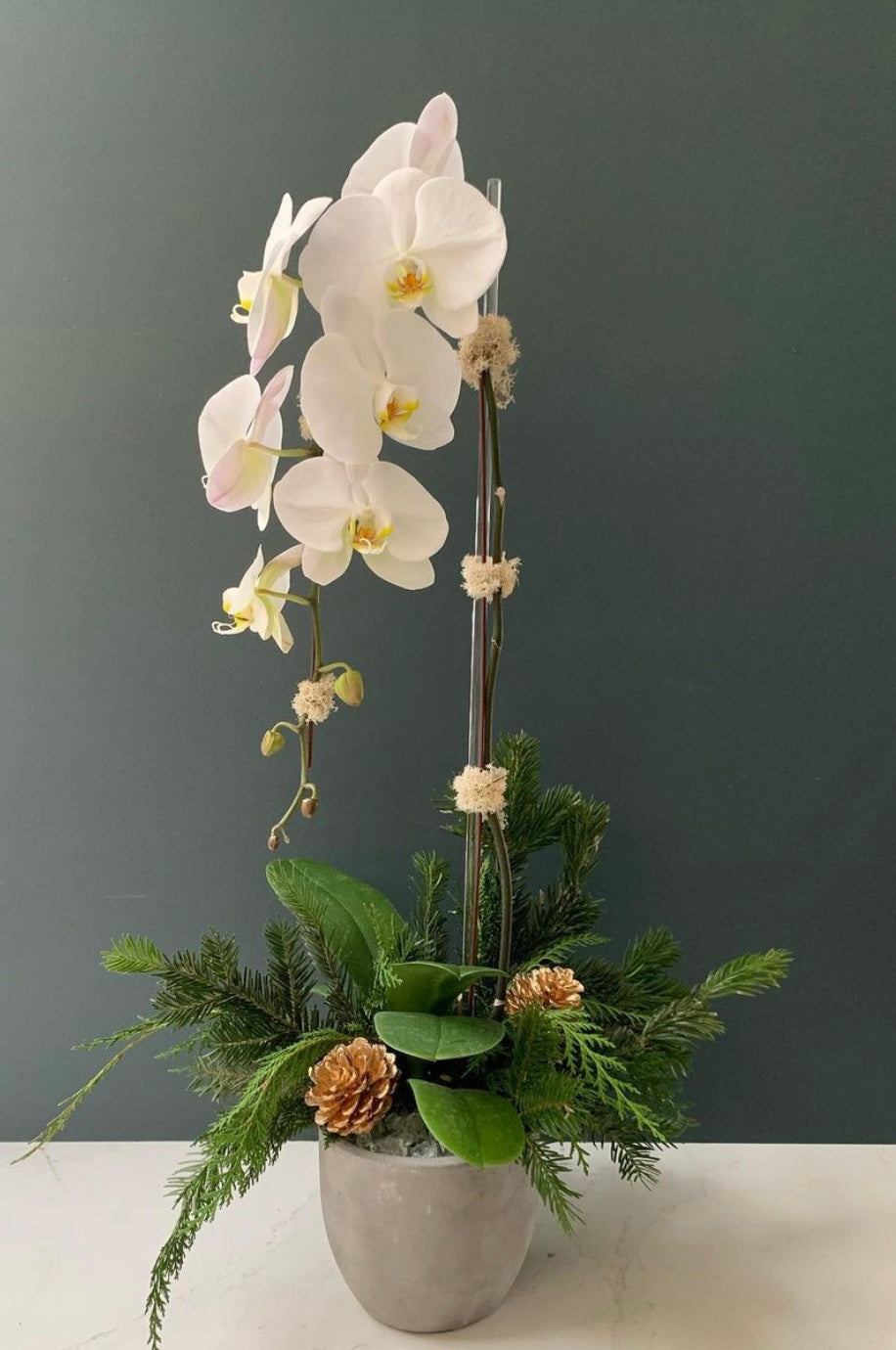 Big White Orchid Arrangement