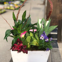 Spring is in the Air