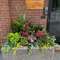 Planter decoration-Summer