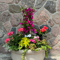 Planter decoration-Summer