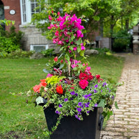 Planter decoration-Summer