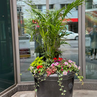 Planter decoration-Summer