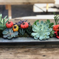 Modern Thanksgiving Succulent Centerpiece