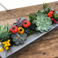 Modern Thanksgiving Succulent Centerpiece