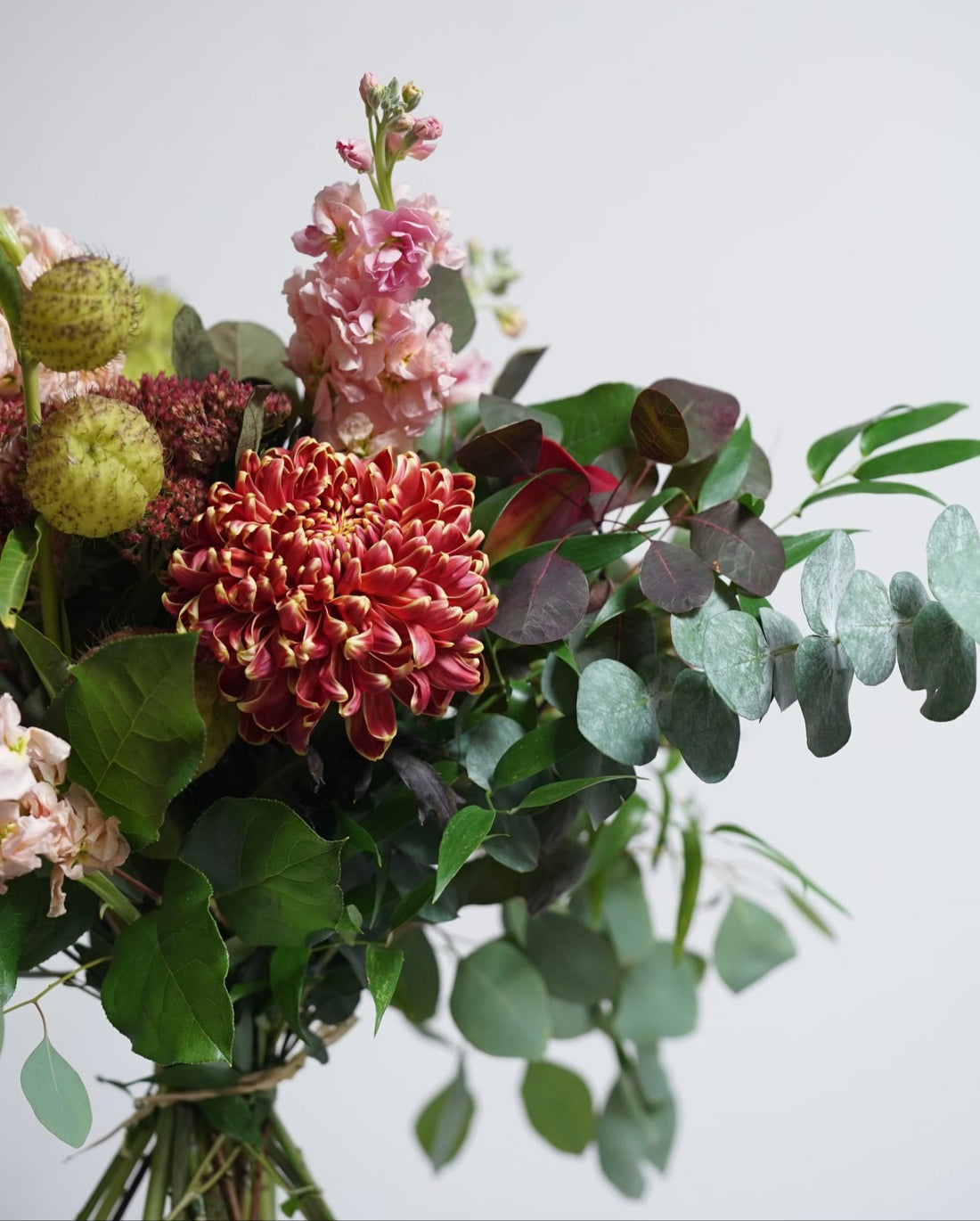 Crimson Glow for Thanksgiving