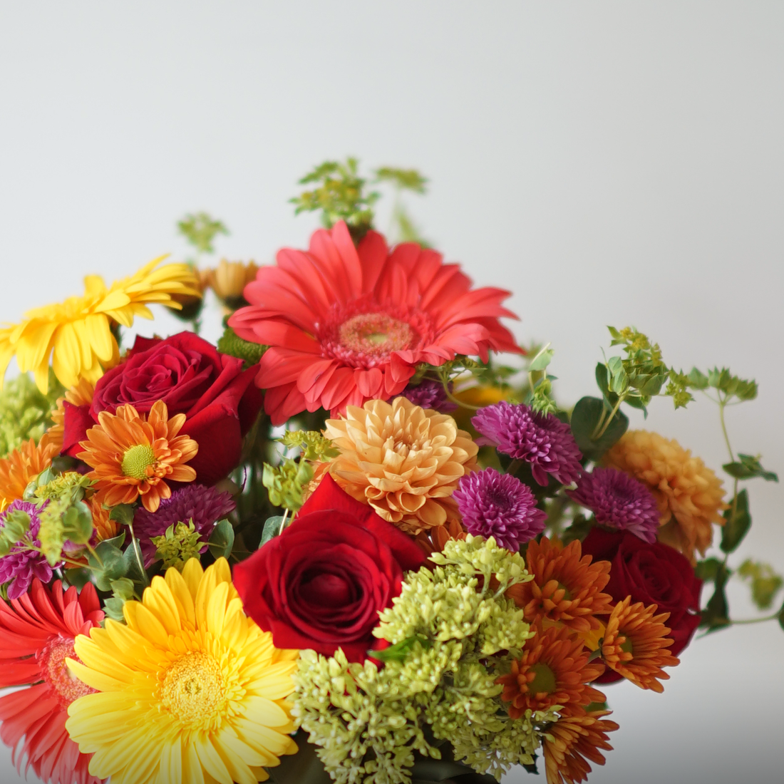 Make a Wish for the Beauty