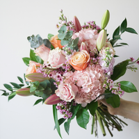 Blush Romance
