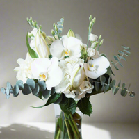 White Whisper