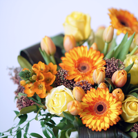 Tangerine Orange Flowers