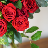 Scarlet Romance - Red Roses