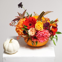 Thanksgiving Pumpkin Arrangement