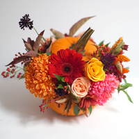 Thanksgiving Pumpkin Arrangement