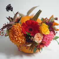 Thanksgiving Pumpkin Arrangement