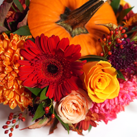 Thanksgiving Pumpkin Arrangement