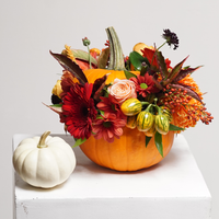 Thanksgiving Pumpkin Arrangement