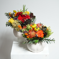 Pumpkin Happy Thanksgiving