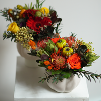 Pumpkin Happy Thanksgiving