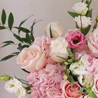 Love Pink