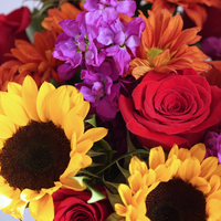 Pure Happiness Arrangement