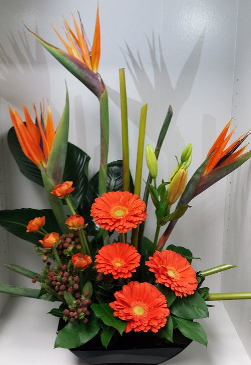 Tropical Arrangement