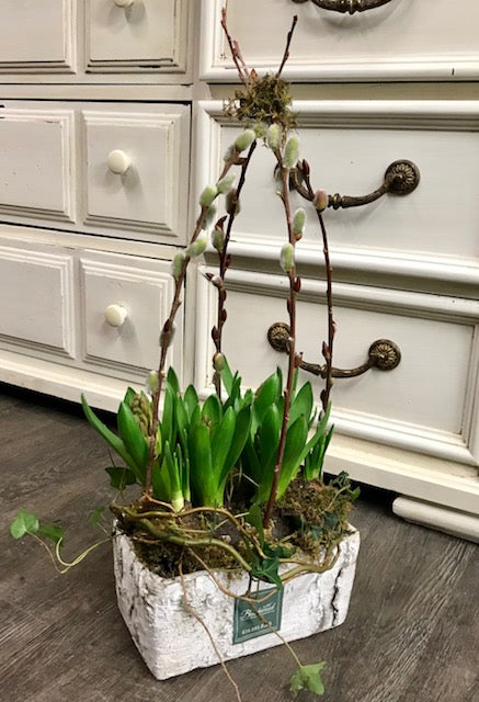 Hyacinth Arrangement