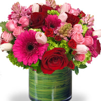 EA-bright of Romance