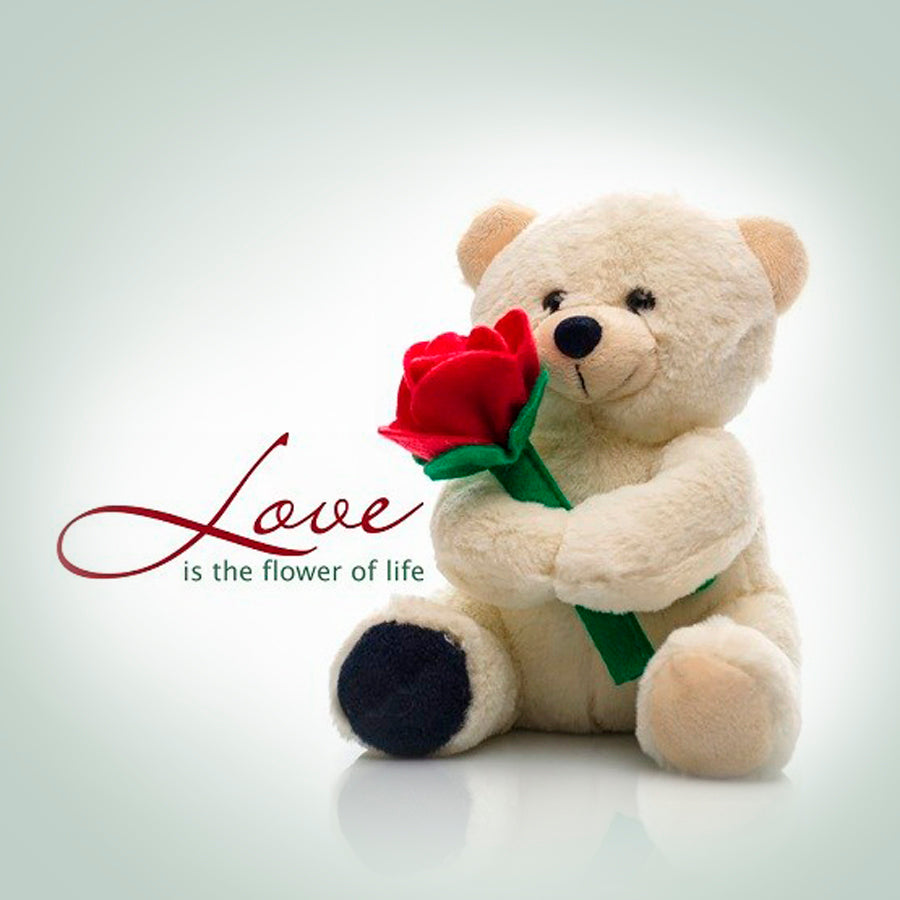 CUTE VALENTINE'S TEDDY BEAR ( Valentine's Special )