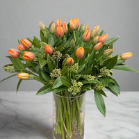 Sunset Tulip