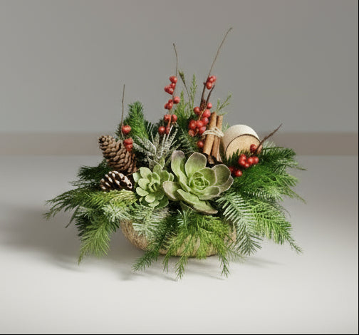 HA-Succulents Holiday