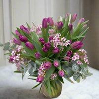 Purple Jewel Tulip