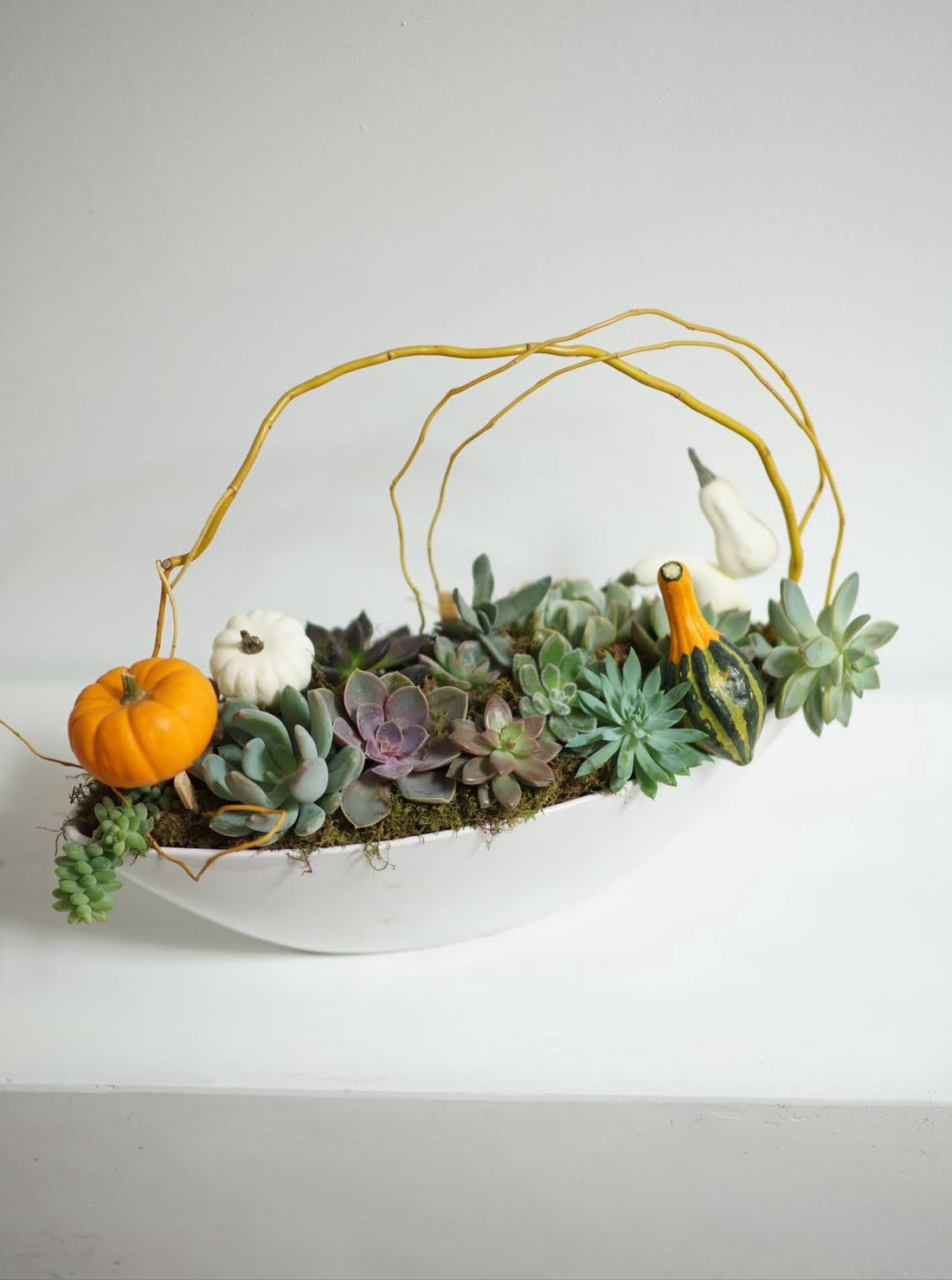 Sculptural Succulent Planter