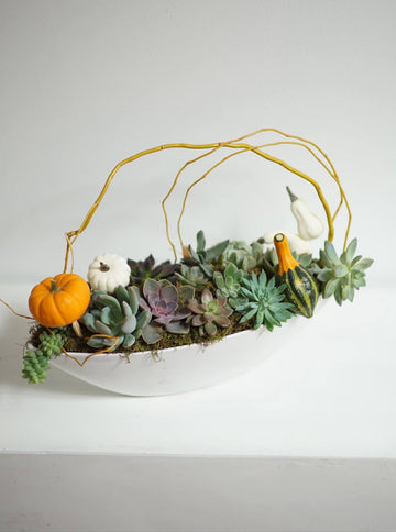 Sculptural Succulent Planter