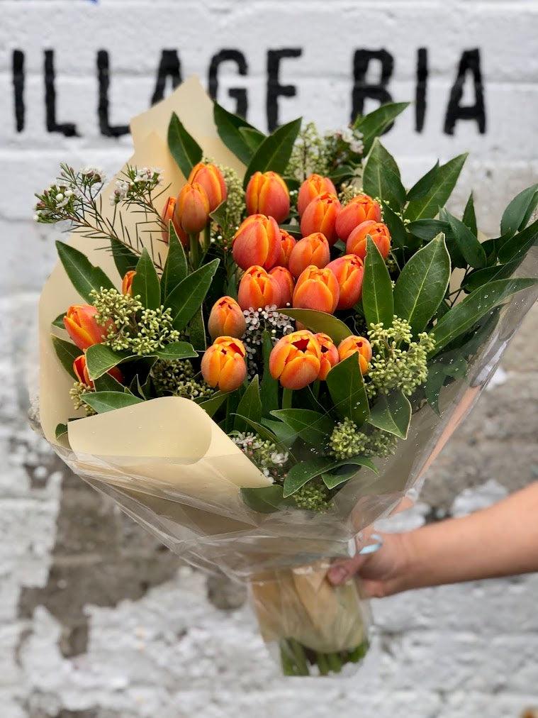 Sunset Tulip