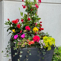 Planter decoration-Summer