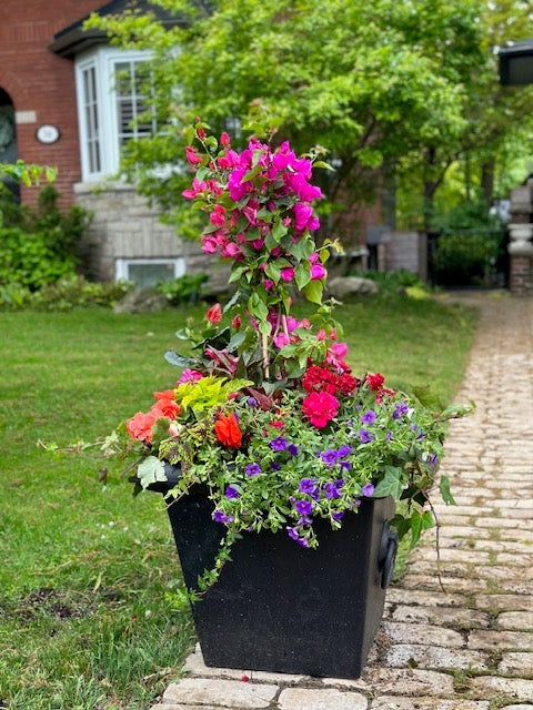 Planter decoration-Summer