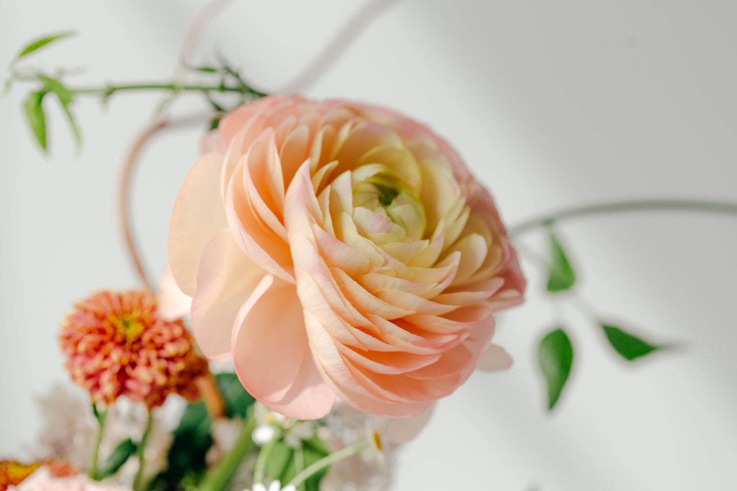 Beachwood Flowers - Flower Delivery in Toronto